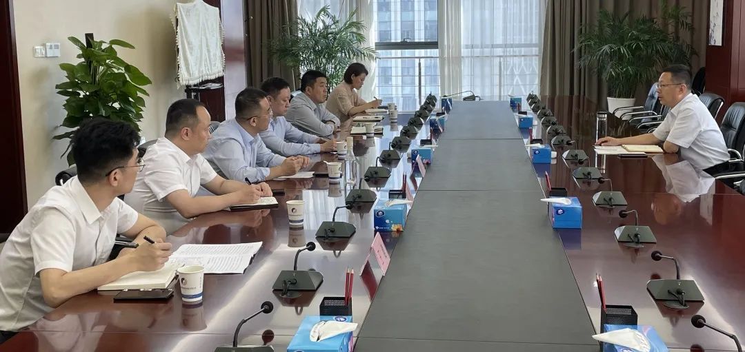 公司黨委書記、董事長杜巖岫帶隊赴合肥考察學習