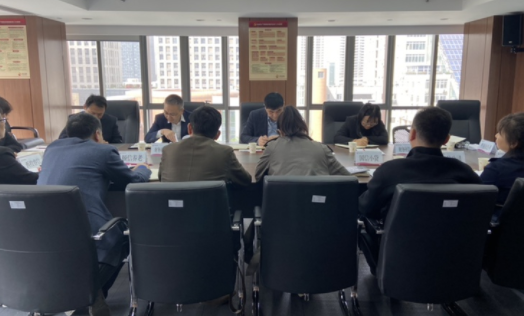 財務(wù)核算中心召開2023年外派財務(wù)負責人3月月度財務(wù)例會